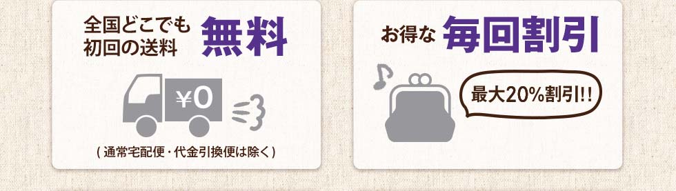 送料・手数料無料　毎回割引